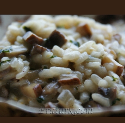 mantarli_risotto_praturk_04